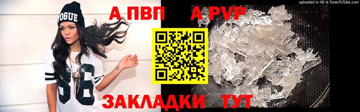 Alfa_PVP крисы CK Бердск