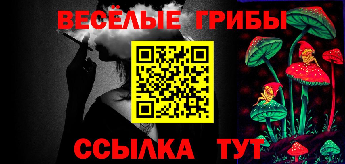 Псилоцибиновые грибы прущие грибы Бердск